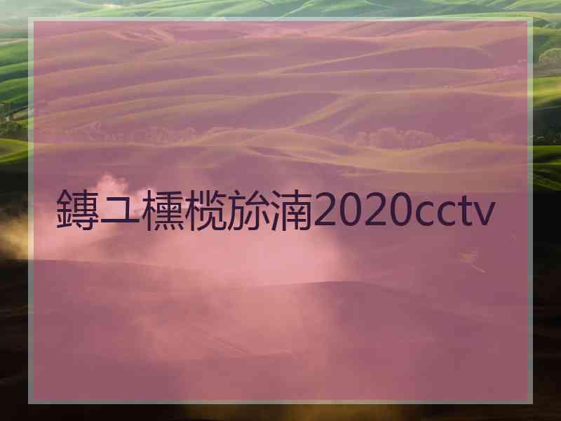 鏄ユ櫄榄旀湳2020cctv