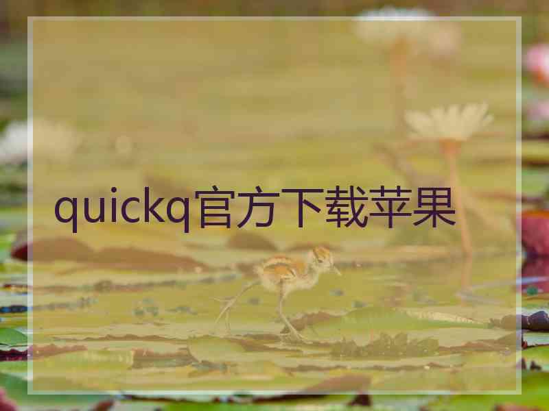 quickq官方下载苹果