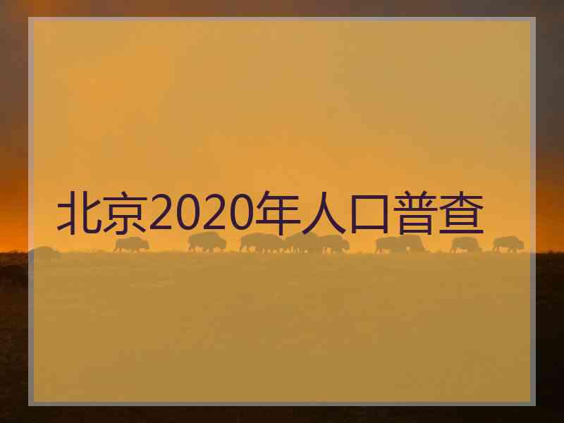 北京2020年人口普查