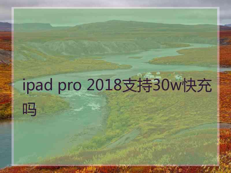 ipad pro 2018支持30w快充吗