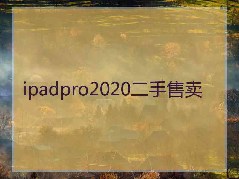 ipadpro2020二手售卖