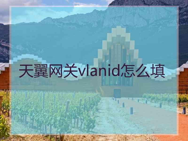 天翼网关vlanid怎么填