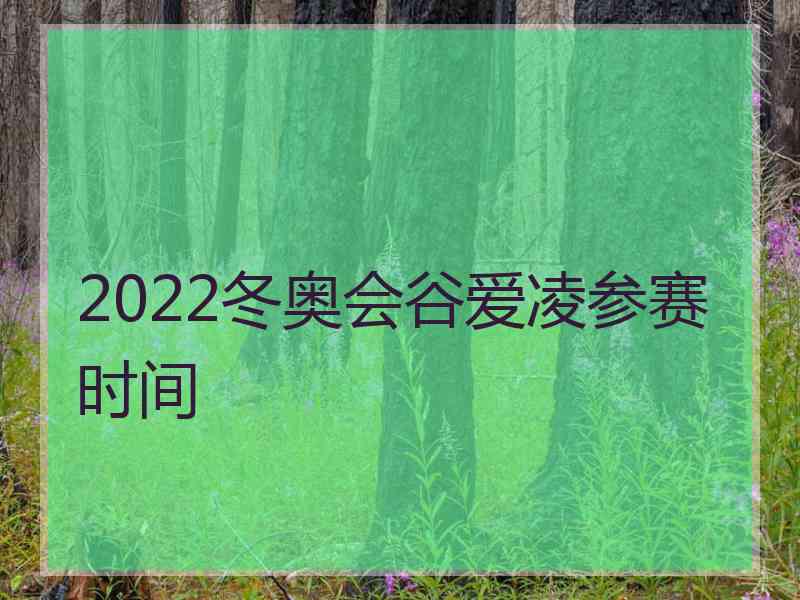 2022冬奥会谷爱凌参赛时间