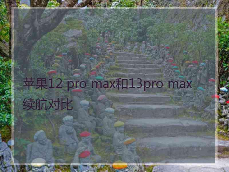 苹果12 pro max和13pro max 续航对比