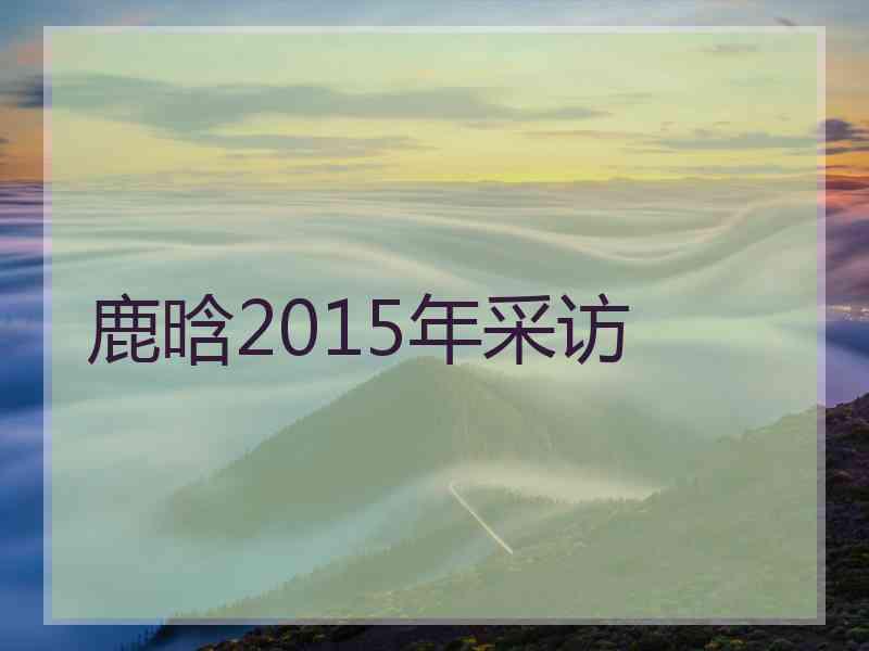 鹿晗2015年采访