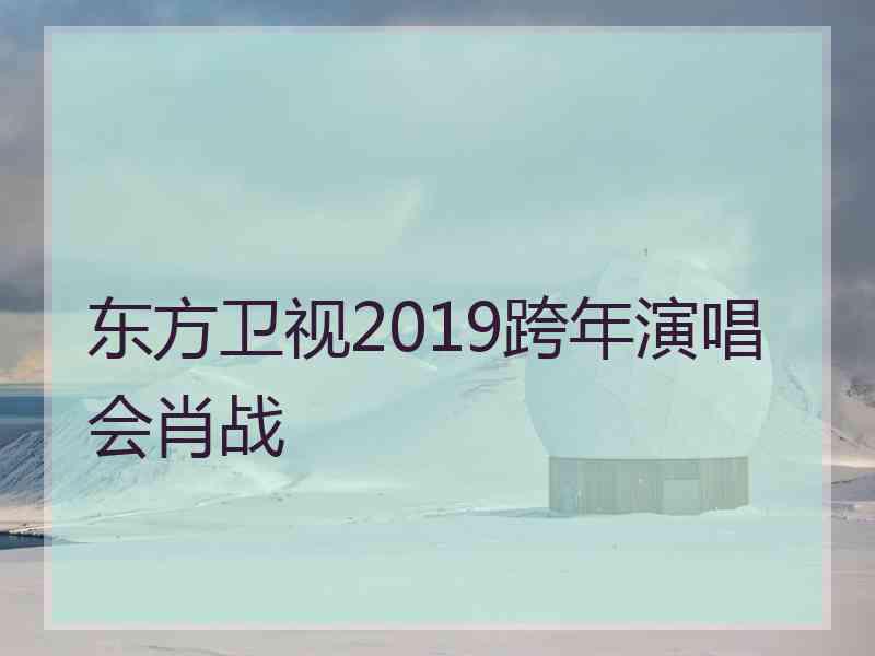 东方卫视2019跨年演唱会肖战