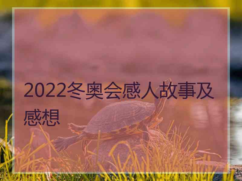 2022冬奥会感人故事及感想