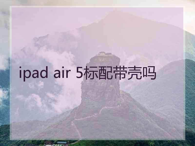 ipad air 5标配带壳吗