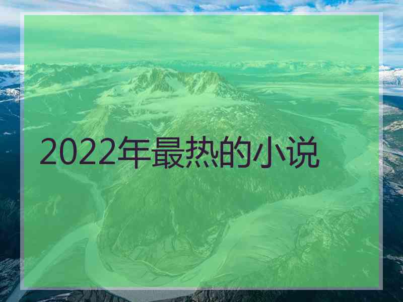 2022年最热的小说