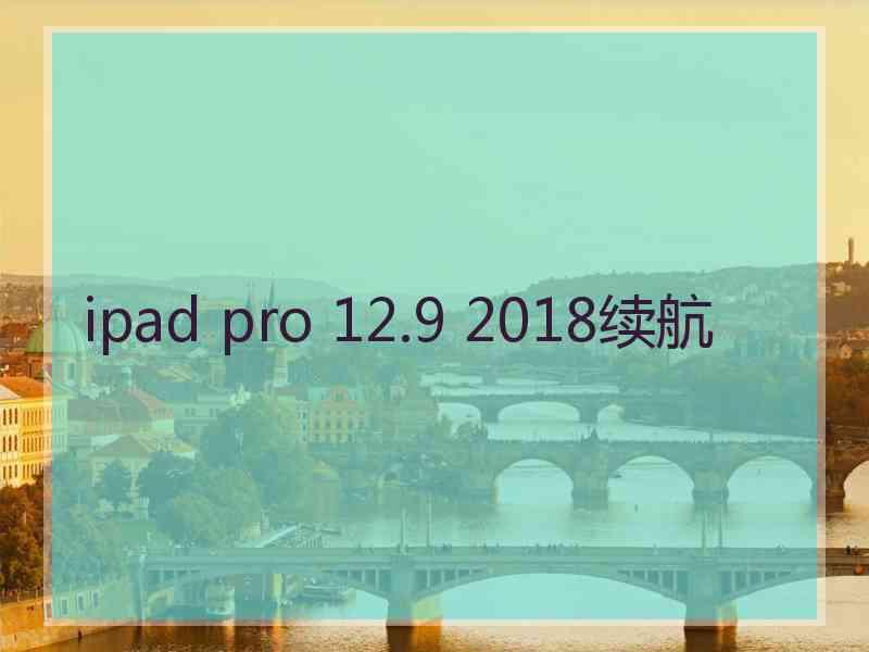 ipad pro 12.9 2018续航