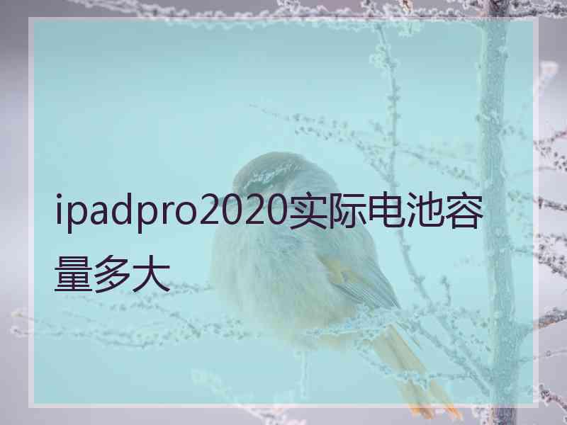 ipadpro2020实际电池容量多大