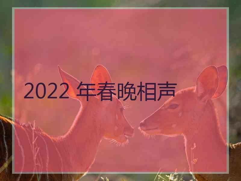 2022 年春晚相声