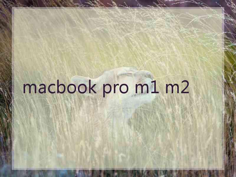 macbook pro m1 m2