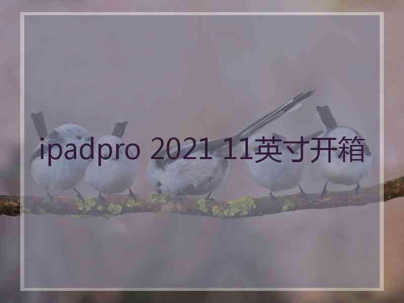 ipadpro 2021 11英寸开箱