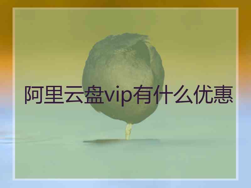 阿里云盘vip有什么优惠