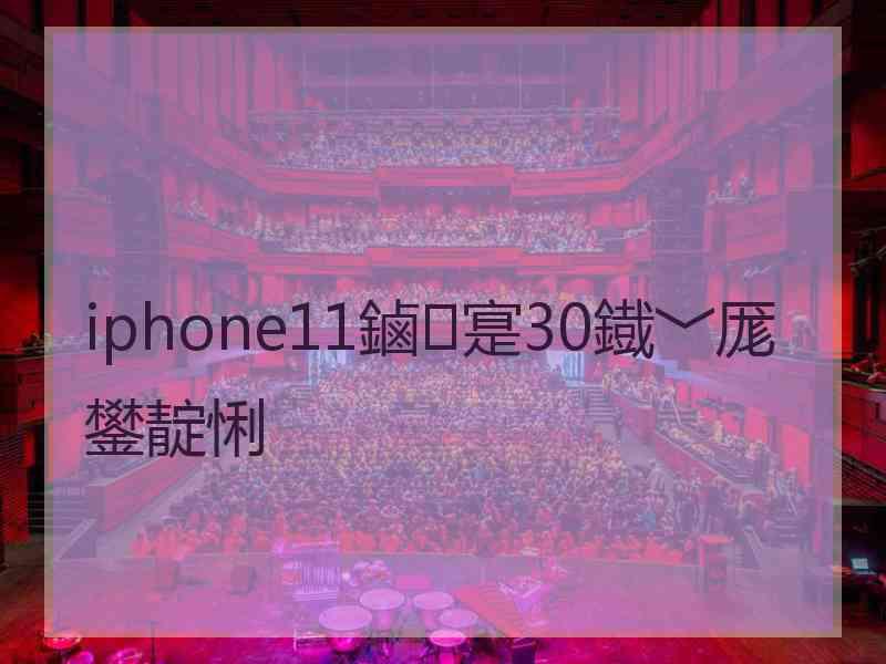 iphone11鏀寔30鐡﹀厖鐢靛悧