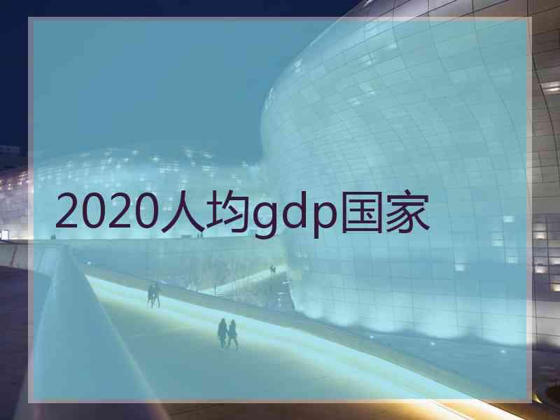 2020人均gdp国家