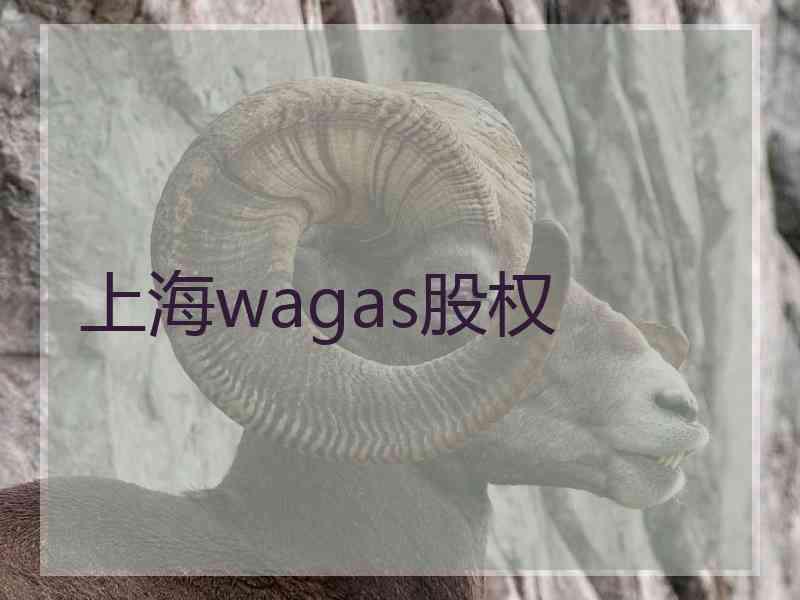 上海wagas股权