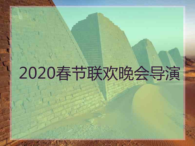 2020春节联欢晚会导演