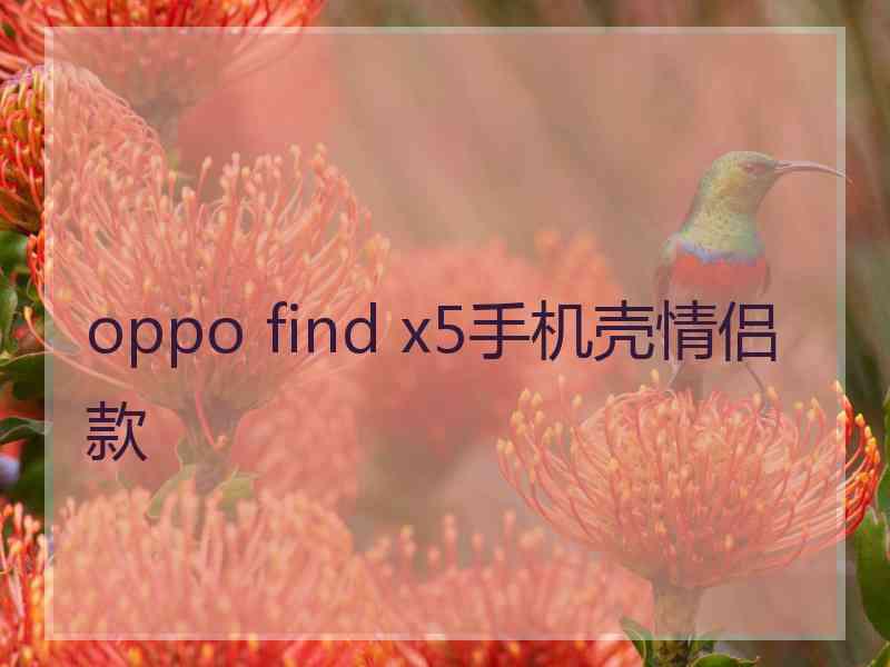 oppo find x5手机壳情侣款