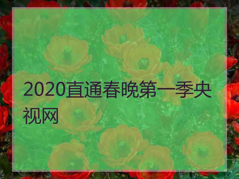 2020直通春晚第一季央视网