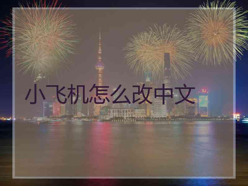 小飞机怎么改中文