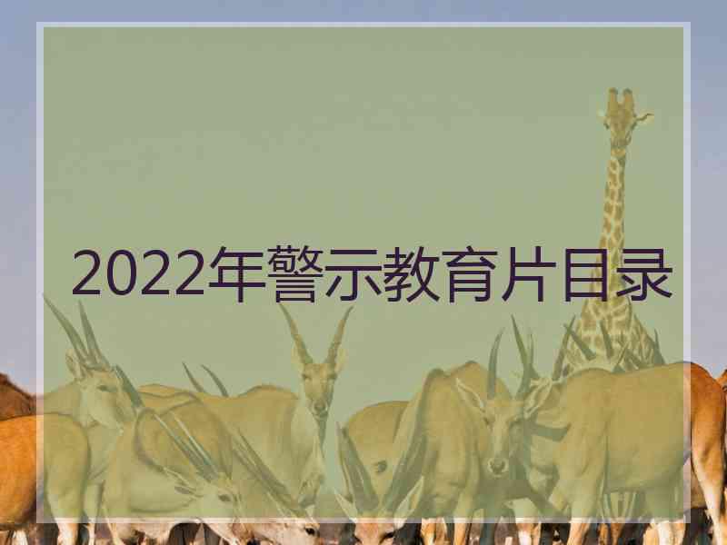 2022年警示教育片目录