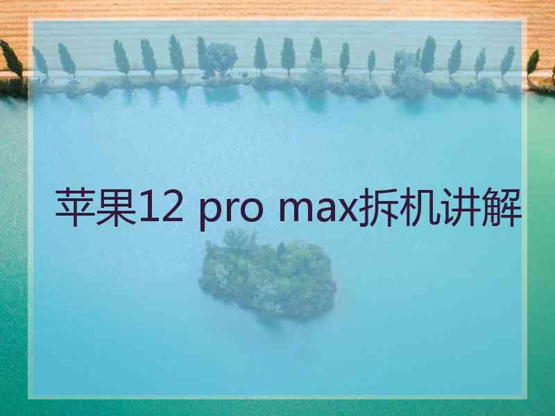 苹果12 pro max拆机讲解