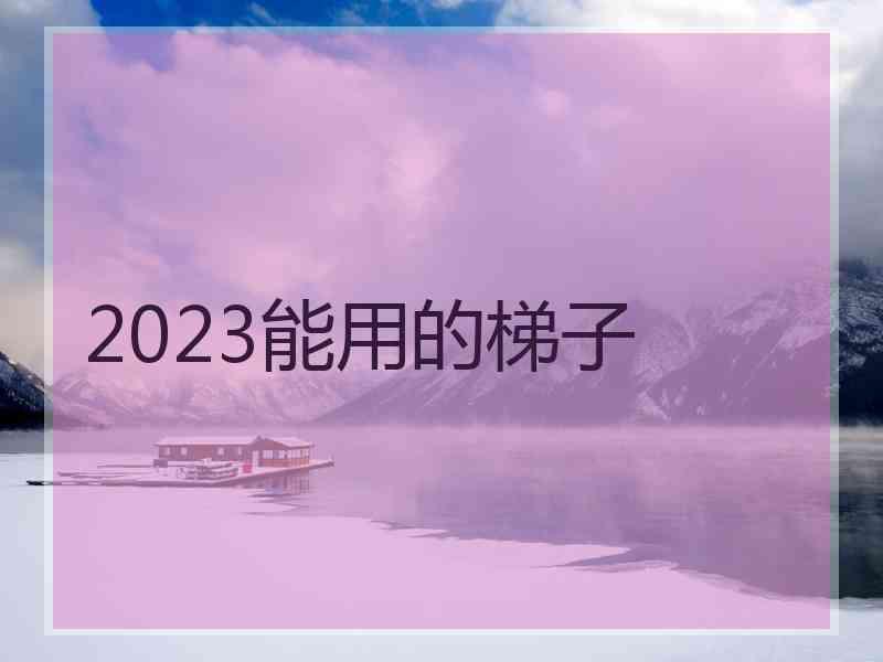 2023能用的梯子