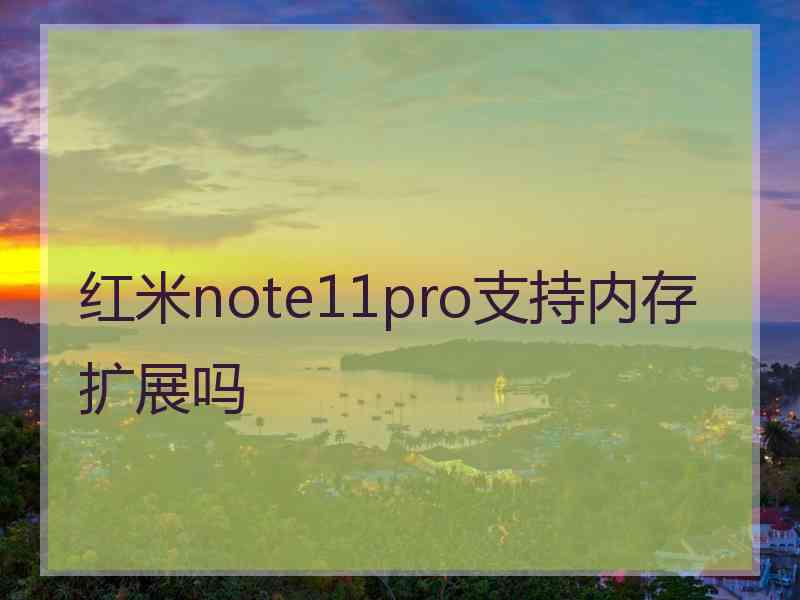 红米note11pro支持内存扩展吗