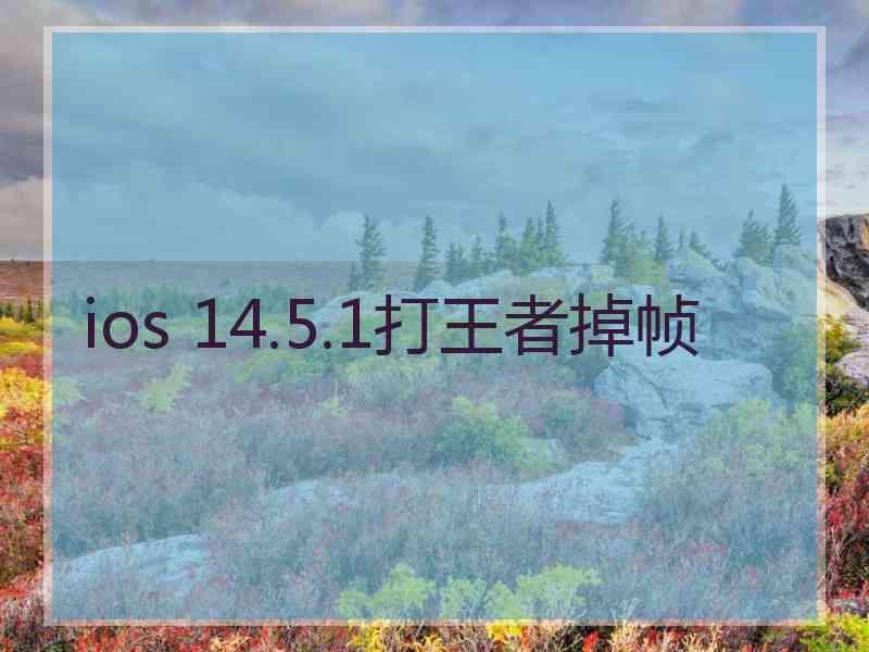 ios 14.5.1打王者掉帧