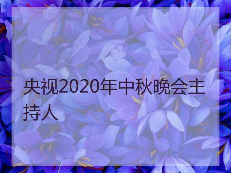 央视2020年中秋晚会主持人