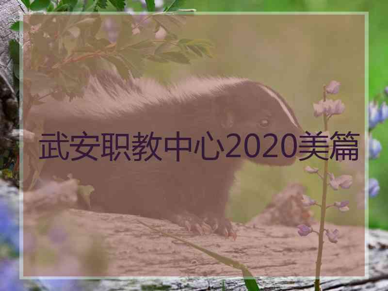 武安职教中心2020美篇