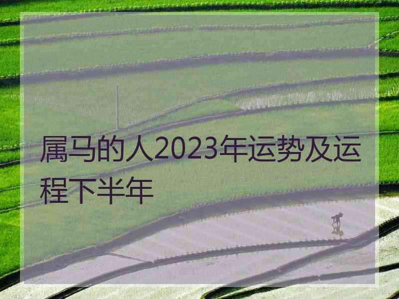 属马的人2023年运势及运程下半年