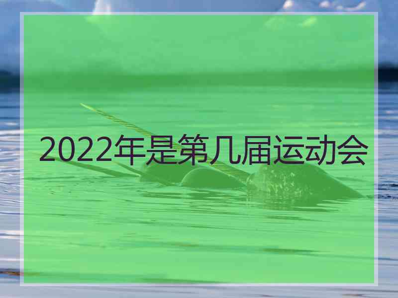 2022年是第几届运动会