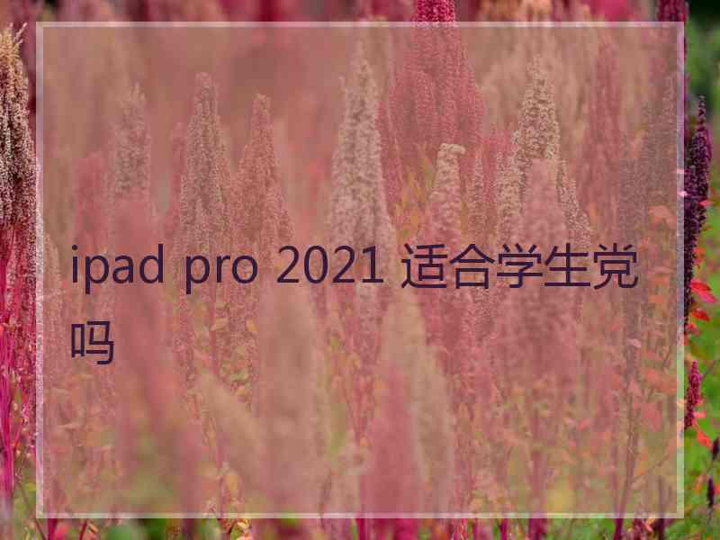 ipad pro 2021 适合学生党吗