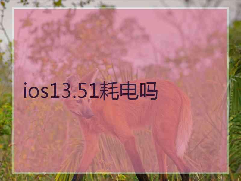 ios13.51耗电吗