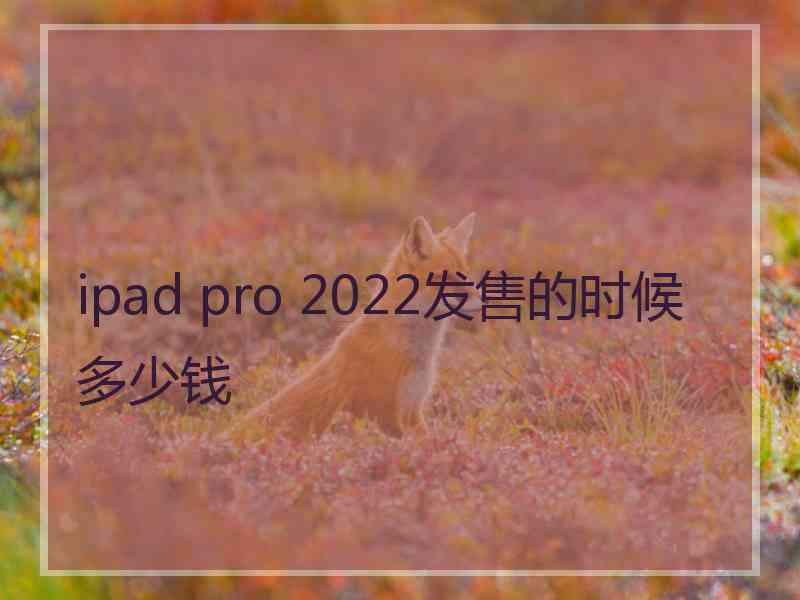 ipad pro 2022发售的时候多少钱