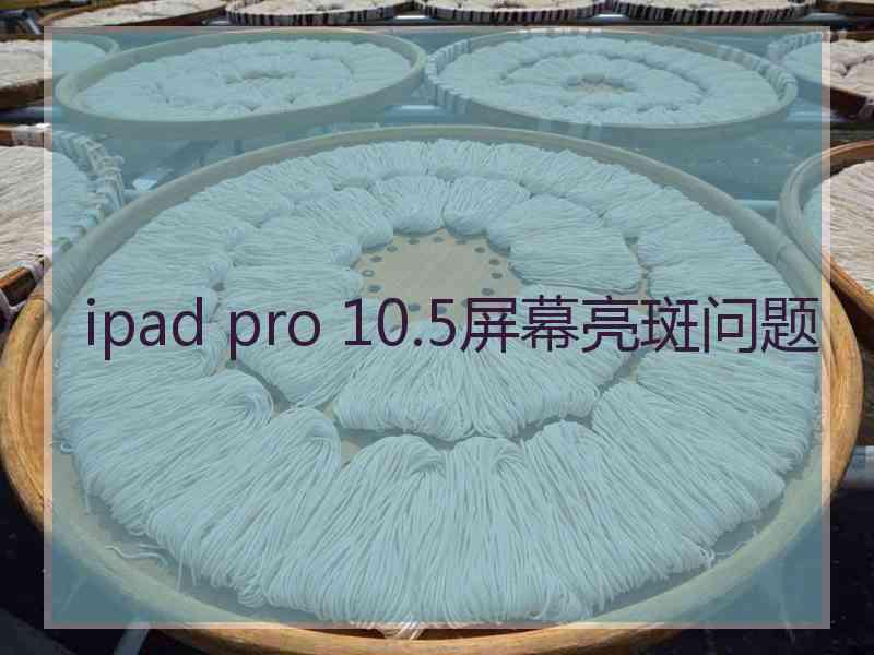 ipad pro 10.5屏幕亮斑问题