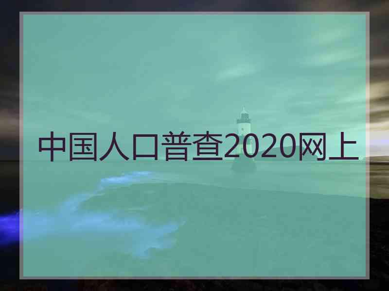 中国人口普查2020网上