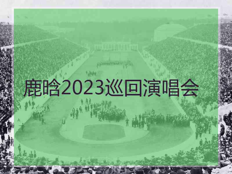 鹿晗2023巡回演唱会