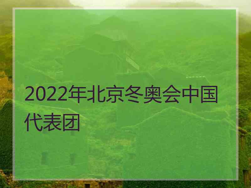 2022年北京冬奥会中国代表团