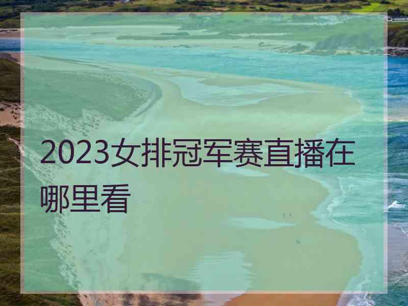 2023女排冠军赛直播在哪里看