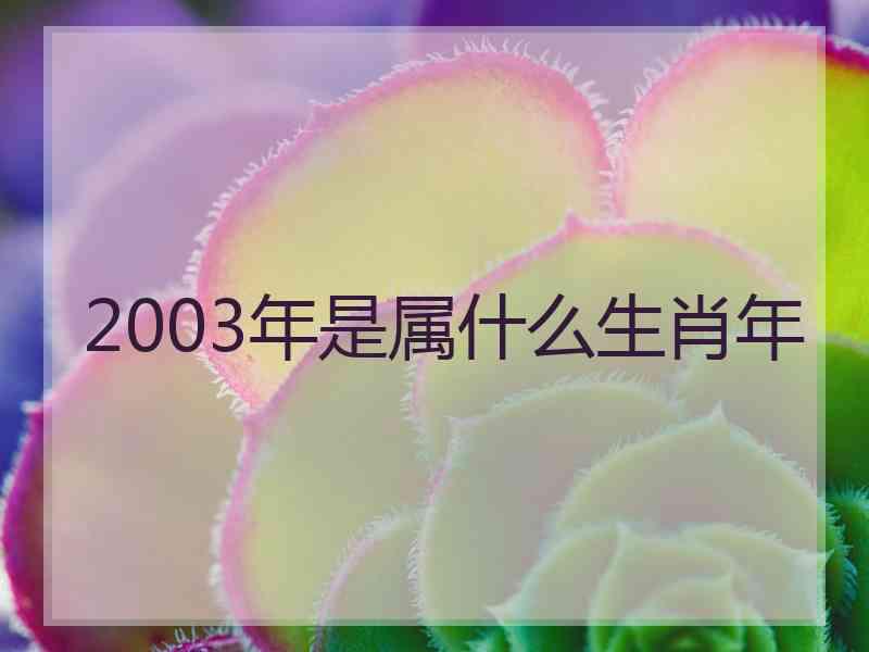 2003年是属什么生肖年