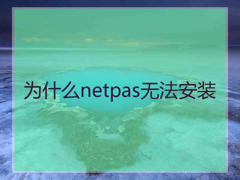 为什么netpas无法安装