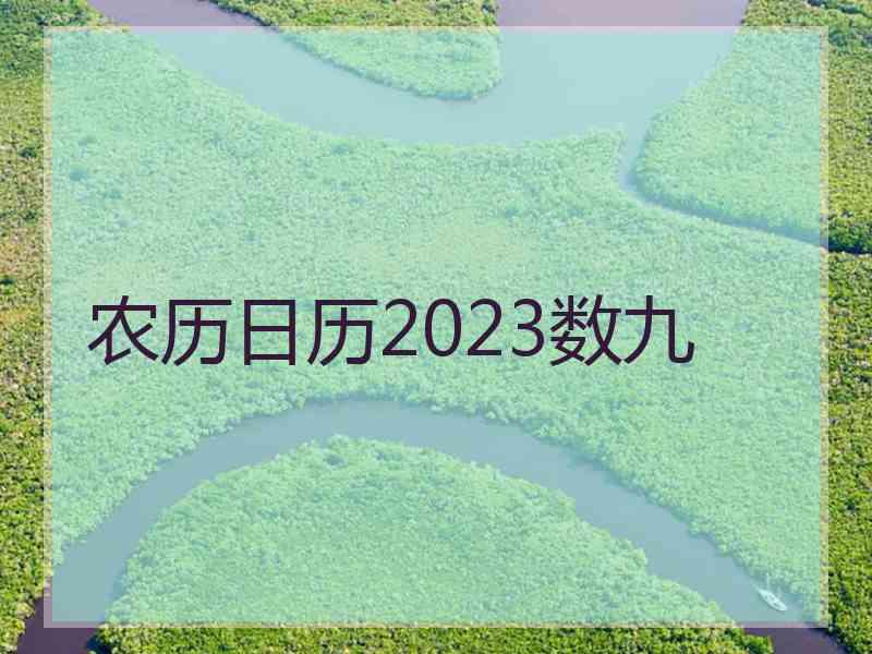 农历日历2023数九