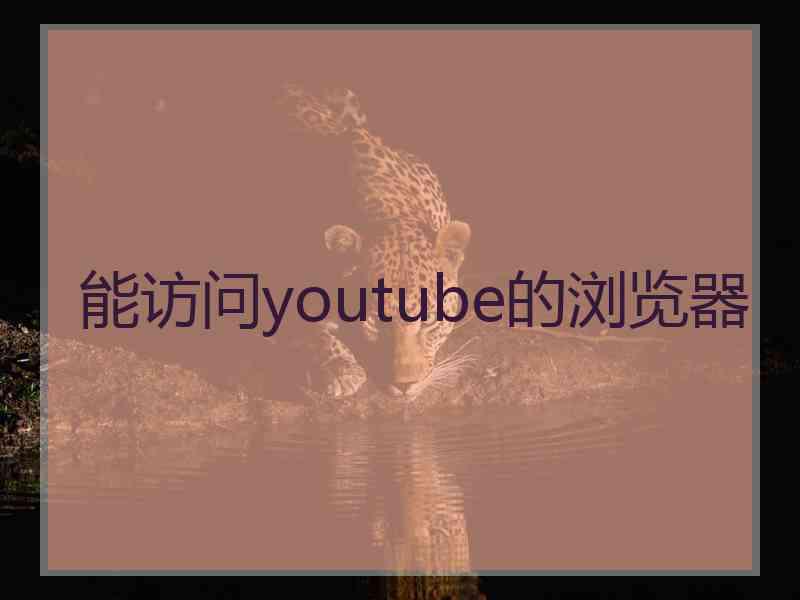 能访问youtube的浏览器