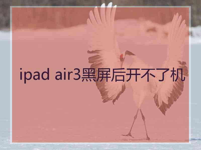 ipad air3黑屏后开不了机