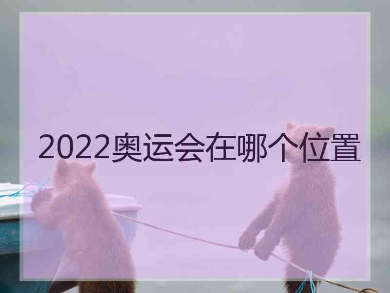 2022奥运会在哪个位置