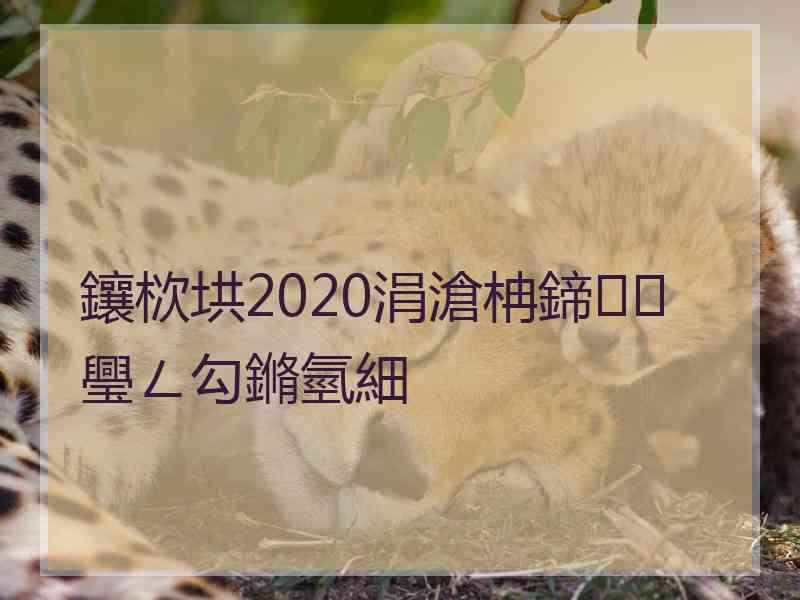 鑲栨垬2020涓滄柟鍗璺ㄥ勾鏅氫細